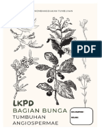 LKPD Mengamati Bunga (IX)