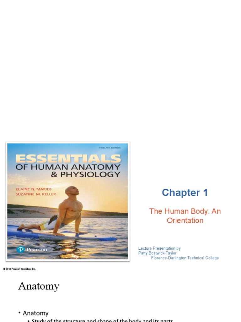 ANATOMY AND PHYSIOLOGY OF THE STOMACH A COMPREHENSIVE GUIDE visual data 8