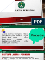 Perbaikan Perineum