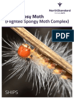 NS Asian Gypsy Moth SHIPS PDF