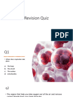 Revision Quiz