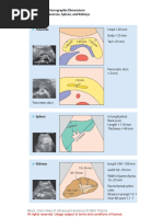 Diagnostic Ultrasound Report Templates | PDF | Ankle | Knee