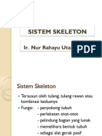 Sistem Skeleton
