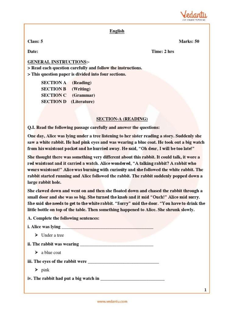 Class 5 English Exam Paper Sample | PDF | Human Communication ...
