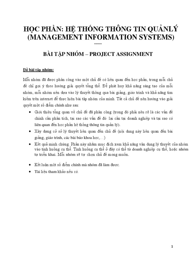 MIS-Group Assignment | PDF