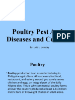 Poultry Pest Lirio Licaycay