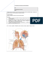 MI.2 Anatomi Dan Fisiologi Sistem Respirasi