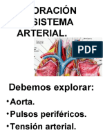 9 Sistema Arterial