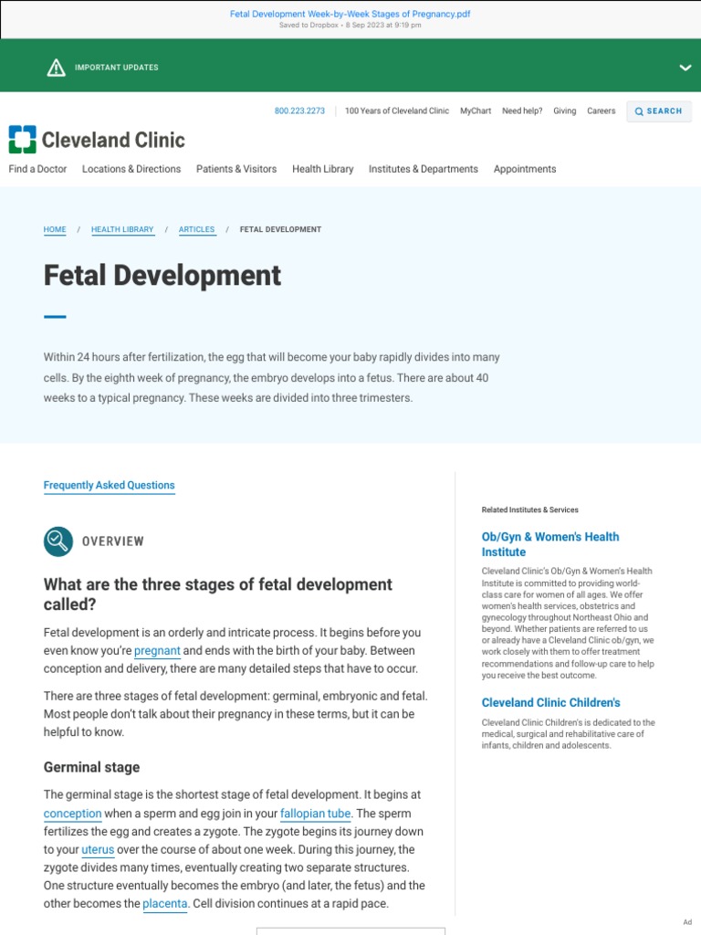 Week-by-Week Fetal Development Stages | PDF | Pregnancy | Menstrual Cycle