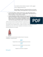 Los Músculos Plantares Del Pie También Pueden Estudiarse Por Grupos