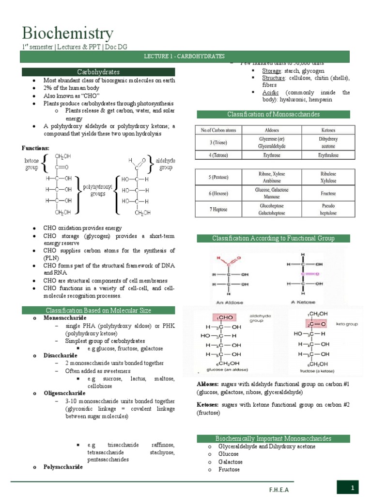 Biochem Transes 1st Term | PDF | Carbohydrates | Amino Acid