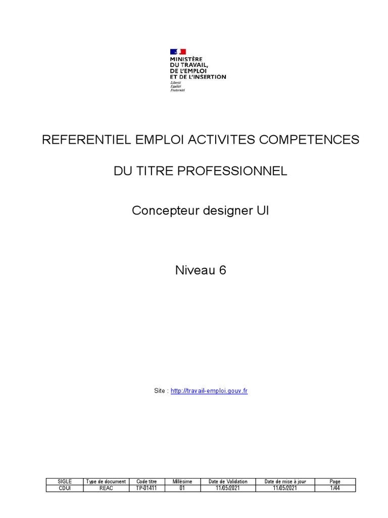 Concepteur Designer UI : Référentiel et Compétences | PDF | Internet ...