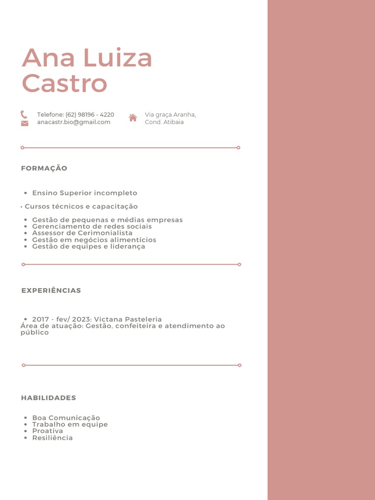 Perfil Profissional de Ana Luiza | PDF