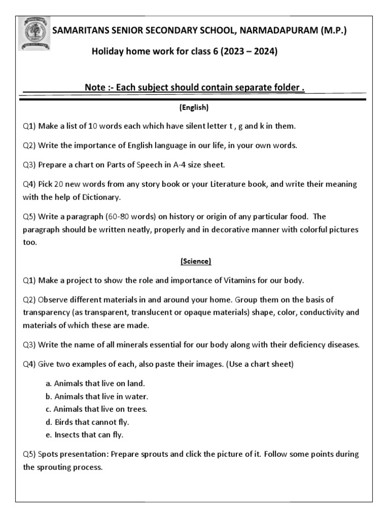 Holiday Homework Class 6 2023 2024 PDF