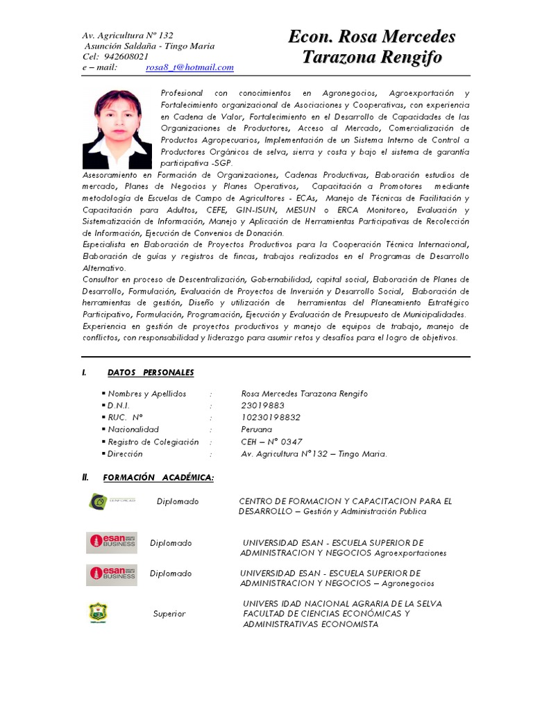 CV Rosa - Tarazona 2021 | PDF | Perú | Economias