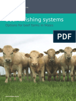 Livro - Beef Finishing Systems