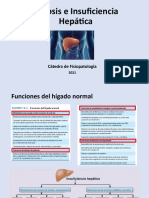 Cirrosis, Hipertensión Portal e Insuficiencia Hepática PPT 2