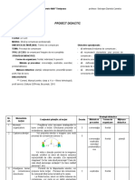 Proiect Lectie Procesul de Comunicare