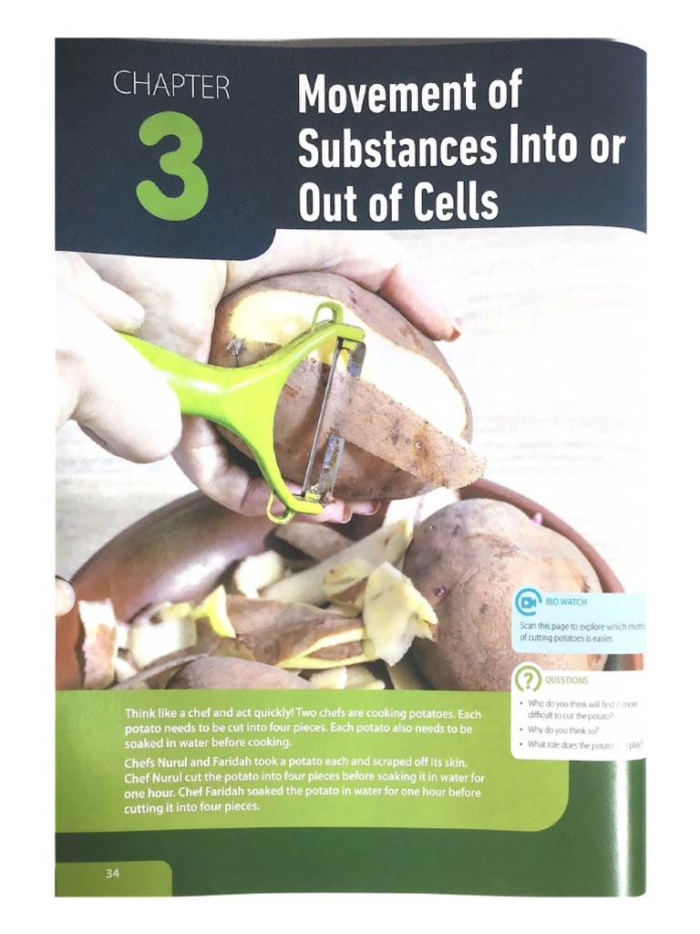 Bio - CHAPTER 3 | PDF