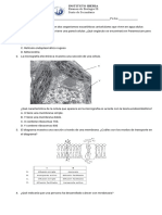 Copia de Biologia IB 6to ENSAYOS 