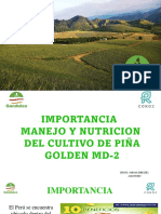 Manejo y Nutricion Del Cultivo de La Piña