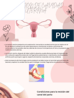 Presentación Cosméticos Femenino Rosa
