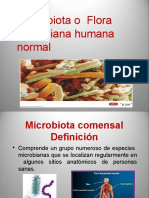 Microbiota Humana