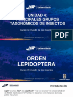 Sesión 10 - El Mundo de Los Insectos - Lepidoptera e Hymenoptera