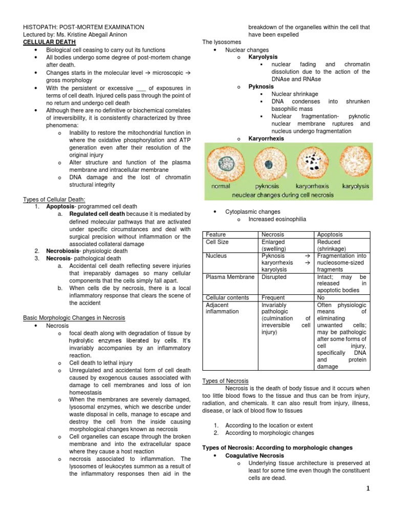 Beyond The Basics Advanced Post Mortem Summary Analysis - py5s1vx
