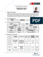 FORMATO DE CURRICULUM VITAE PACCELLY 2023 - Modelo