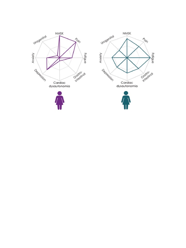 SPIDER | PDF