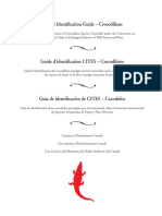 Identificacion Crocodylia