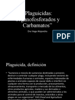 08 - Inhibidores Acetilcolinesterasa