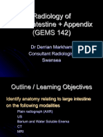 Large Intestine and Appendix GEMS 142