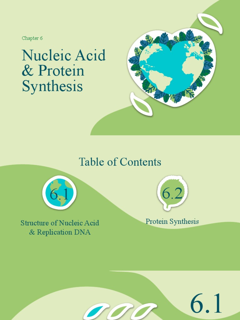 6 Nucleic Acid and Protein Synthesis PDF Rna Translation (Biology)