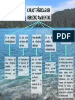 Derecho Ambiental Hellem Ciro