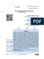 Lesiones Del Manguito de Los Rotadores