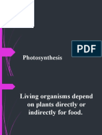 Photosynthesis OFFICIAL