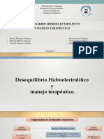 SUBGRUPO B - Desequilibrio Hidroelectrolitico