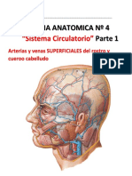 004 Ficha S. Circulatorio - Upeu Parte 1