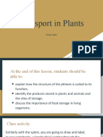 Transport in Plants-Storage Organs-Grade 11