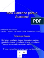 APARECIDA -Meu Caminho para o Sucesso