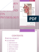 S - Development of Soft Palate and Its Physiology