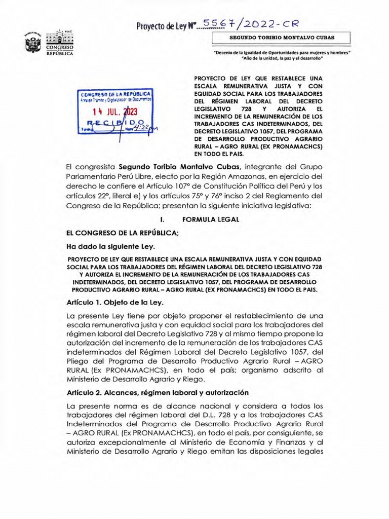 Proyecto de Ley para La Nueva Escala Remunerativa | PDF