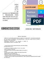 Proyecto Del Bebe Huevo PDF