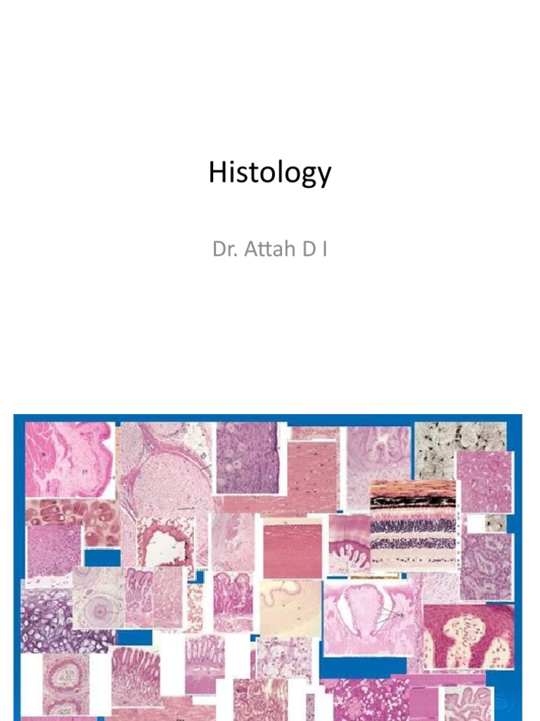 200 L Histology PDF Histology Fixation (Histology)