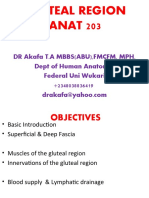 ANAT 203 FU WUKARI Gluteal Region