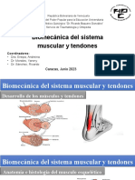 Biomecanica Del Sistema Muscular y Tendones