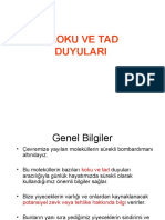 Özel Duyular Tad Ve Koku