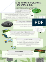 Verde y Gris Simple Infografía Informativa
